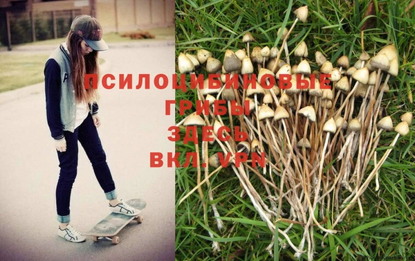 кокаин премиум Белокуриха