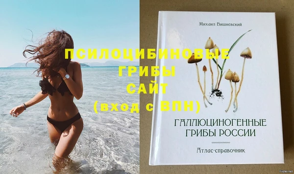 кокаин премиум Белокуриха