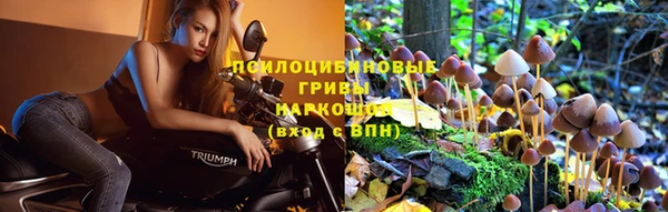 меф Богородск