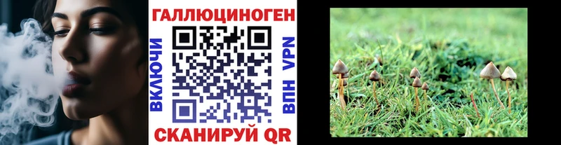 Галлюциногенные грибы MAGIC MUSHROOMS  Сызрань 
